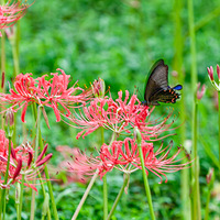 ����35�ȸ��£��ɹ��˸�����¶��������ʯ�⡢˯����������������