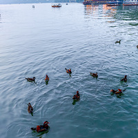 ԧ�컻��ع�������