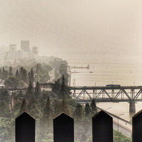 ��������