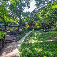 ����֮��ɫ411-Ǭ¡ʮ�˿�����3