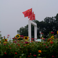 ������վ����