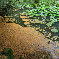 ���ݵ�������·��