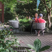 ת������������