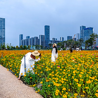 ���˴�Ѥ�����������ˣ�