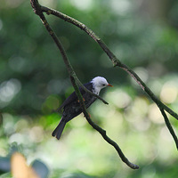 ��ͷ�ڶ̽���