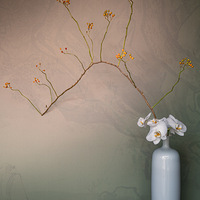 �ܾ�û��ӷ���