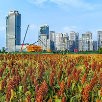 �������˺����죡������10��16�����˴壩