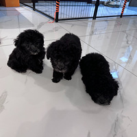 Сɫ̩Ϲ¼ң3.5ңĿǰ2´