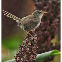 ���������������