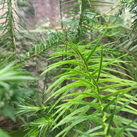 ҸŹͬܶӪࡷͺáȻ