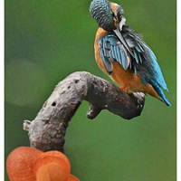 ������ë�Ĵ���