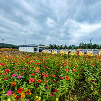 ͭ��������- ��ʰ�� ����������