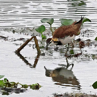 ��Ϫʪ�ص�����Сˮ��75��ٻӰ