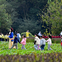 ����ʮ�°������Ǻ����ǵ����¡�