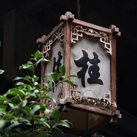 ������¤