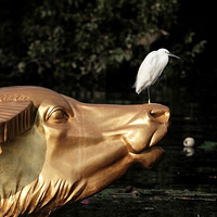 20251024���������