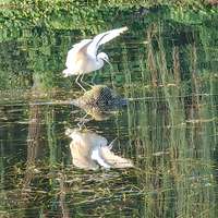 ����������뼯��ӿ���ץ����������10��24�գ�