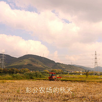 ����ũ��������