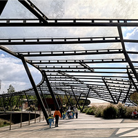 С�ӹ�԰�����˺������ŷ��