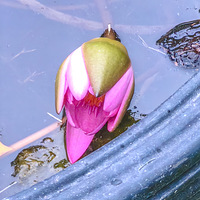 Ǯ������ϡ˯��չ���ˣ�