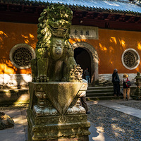 �����������-������