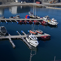 �����ƺ�վ���