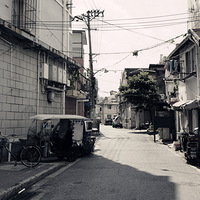 ��Ӱ����2509 �ϳ���Ѳ���ּ�Ӱ1