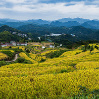 ��̨��ɽ���ص��̽�����