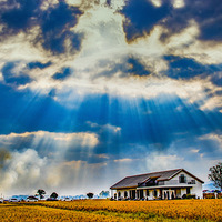 ������帻��ӡ��