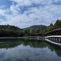 ���Ҫ���ŵ�̫����������Ҫ��Ƶ�̫����