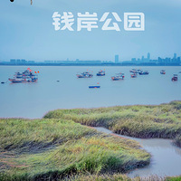 ���ݡ�Ǯ����԰��