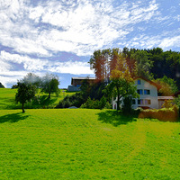 �¹���԰���