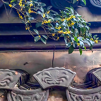 Ũ���Ĺ������˱Ƕ���������������