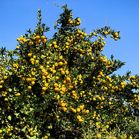 �ֵ������ۻ�ʱ