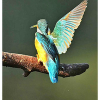 ��׮��С��