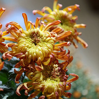 ��չ�ͻ�---2