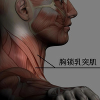 �ǿ�ҽ�����飺�Է���ʱ�򡰶����롱