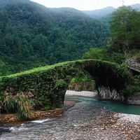 Ѱһ���ľ�����һ��ɽҰ֮Լ��������*��̷����