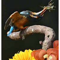 ��Ϻ�Ĵ���