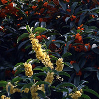 �������ǹ���