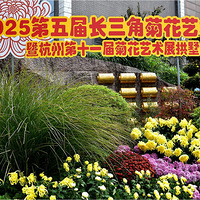 ����ű߹��չ