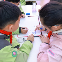 ݲɺɵһСѧšоAIռ