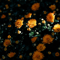 �������ף����ʶ���