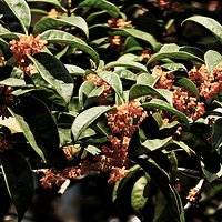 ����Ʈ�㺼����