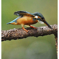 ��Ծ�Ĵ���