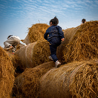 ��ʿ����