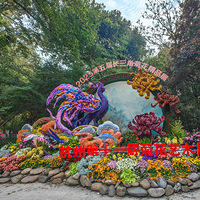 ���ݵ�ʮһ��ջ�����չ��ֲ��԰��Ȫչ��