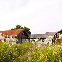 ǧ�������ַ��԰�����죨һ��