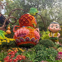 ����ֲ��԰��չ�ĺ�«��װ�û����Ȧ���Ǿ�չ����𱩵ĳ�����