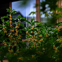 �ҼҵĹ�̫���ˣ�